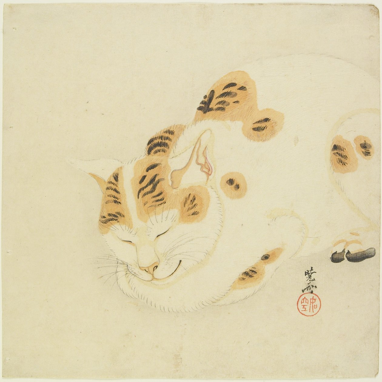 Sleeping Cat by Kawanabe Kyosai