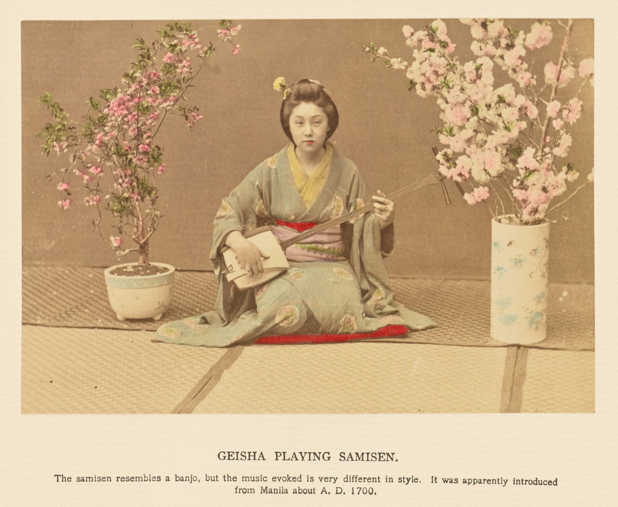 Geisha Playing Samisen by Kazumasa Ogawa