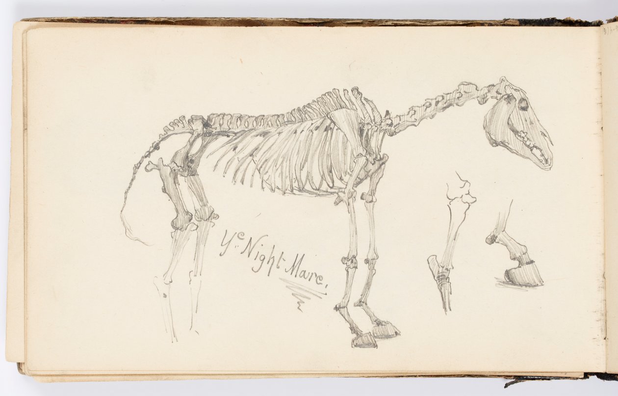 Sketchbook Page: Ye Night Mare by Kenyon Cox