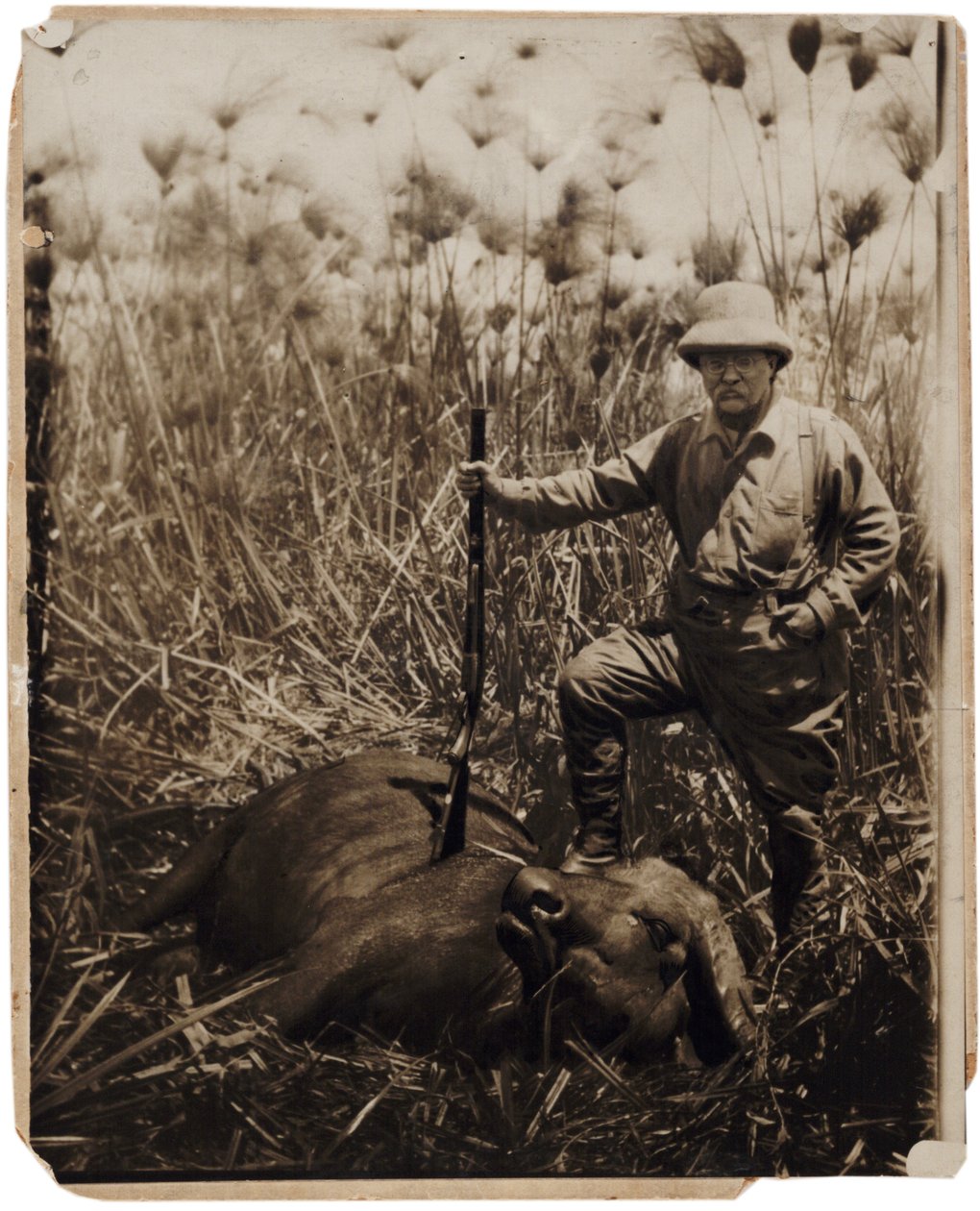 Col. Roosevelt Standing Beside a Water Buffalo He Shot by Kermit Roosevelt