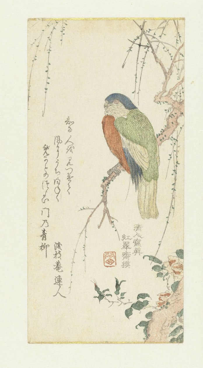 Parrot in a Plum Tree by Kitao Shigemasa