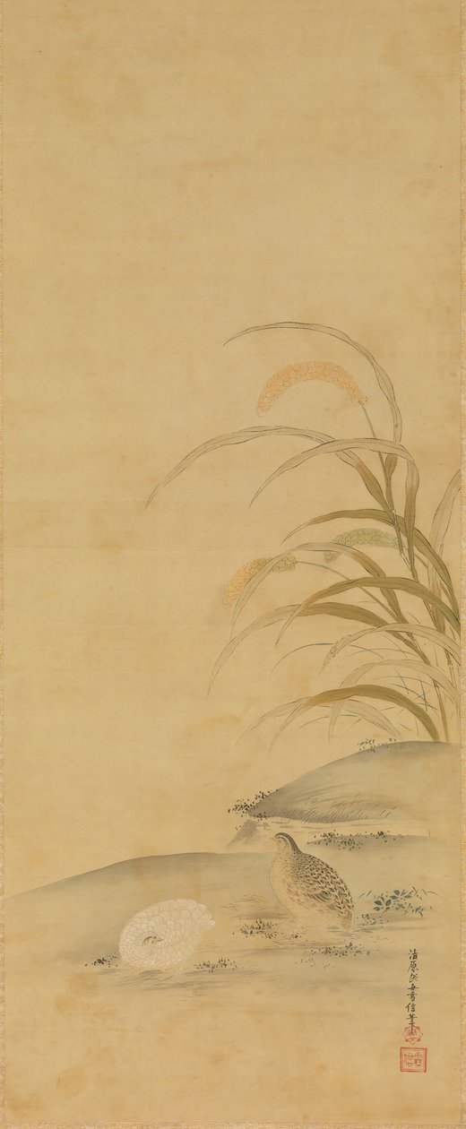 Quail and Millet, late 17th century by Kiyohara Yukinobu