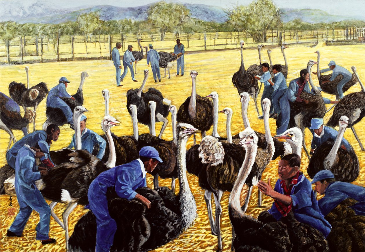 Ostrich Farm by Komi Chen