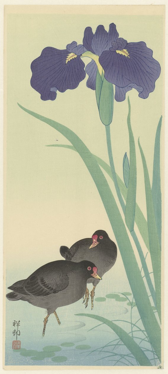 Moorhens and Irises by Ohara Koson
