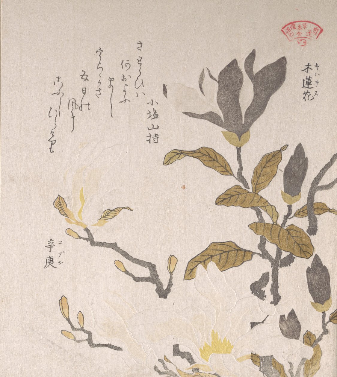 Magnolia Flowers by Kubo Shunman