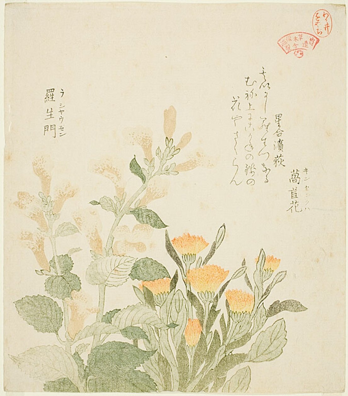 The Common Marigold and The Rajoman Flowers by Kubo Shunman
