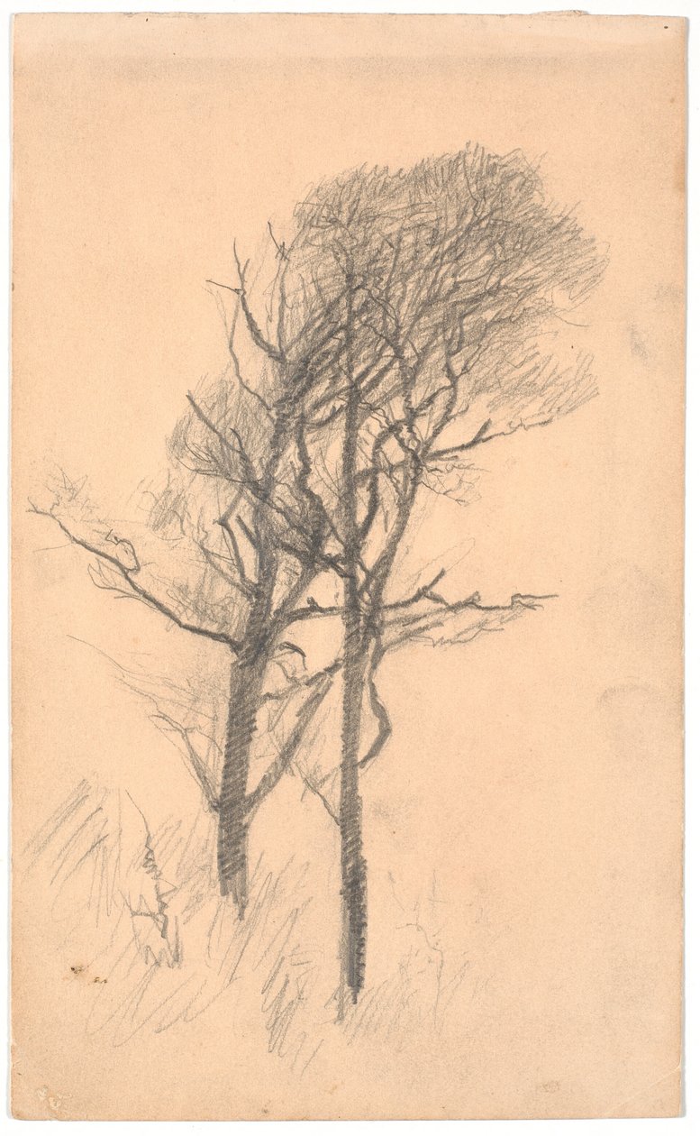 Two Trees with Low Undergrowth by Laurits Andersen Ring