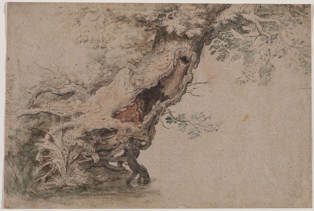 Hollow Tree, after Roelant Savery by Lambert Doomer