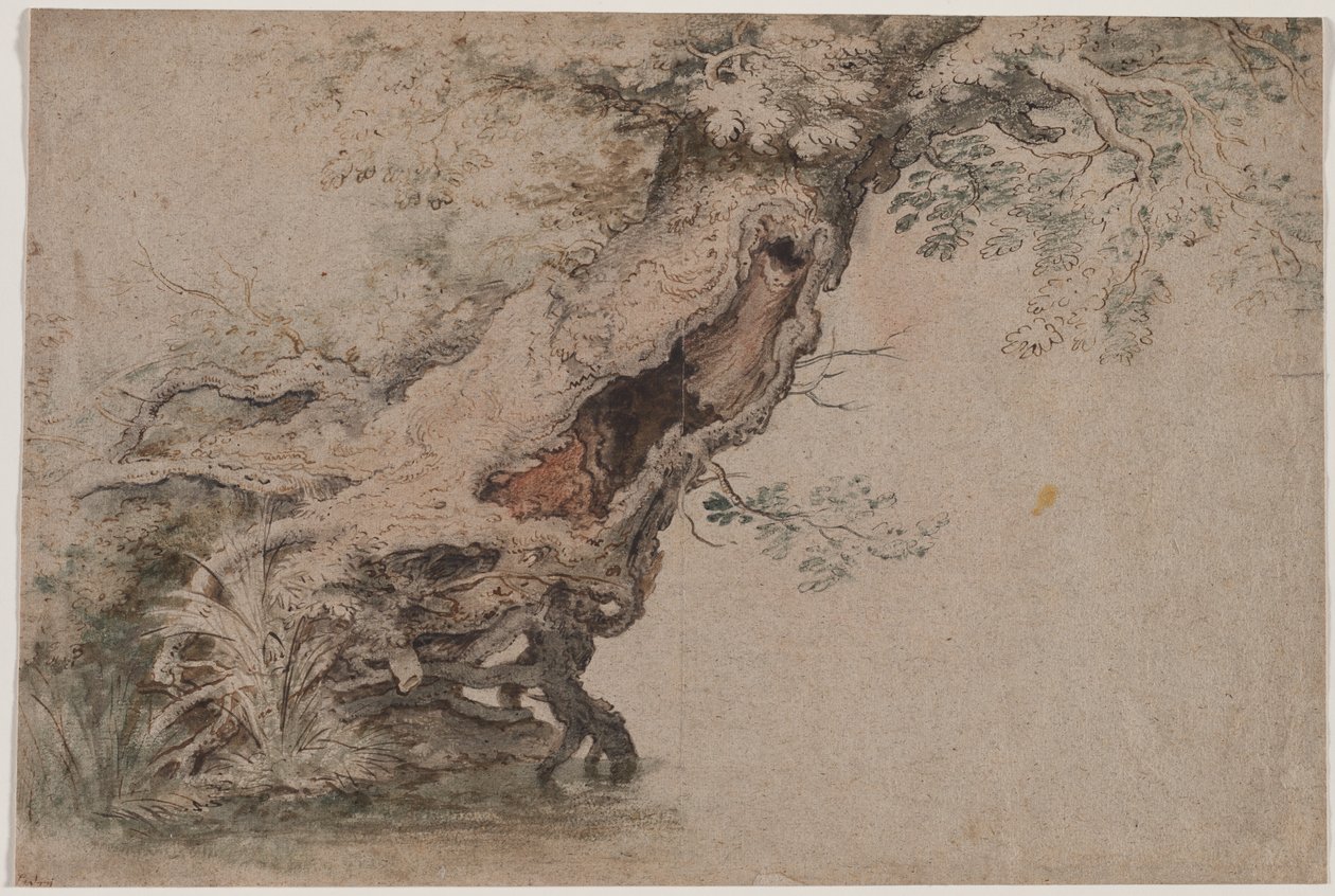 Hollow Tree, after Roelant Savery by Lambert Doomer
