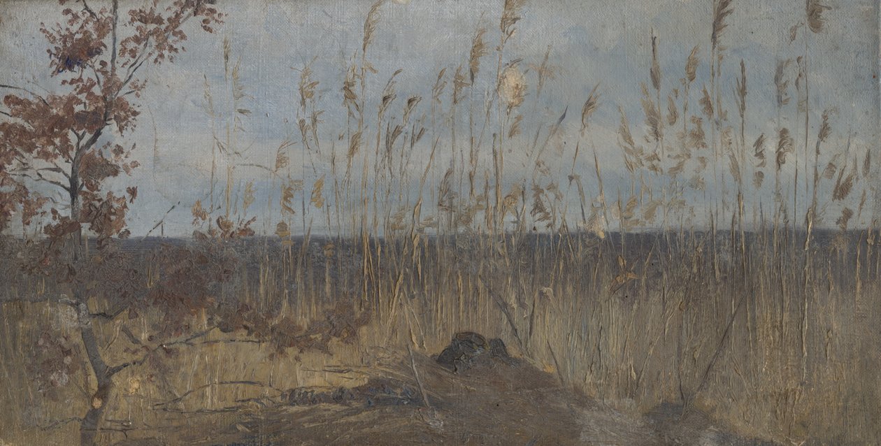 Study of Landscape around the Marsh by Laszlo Mednyanszky