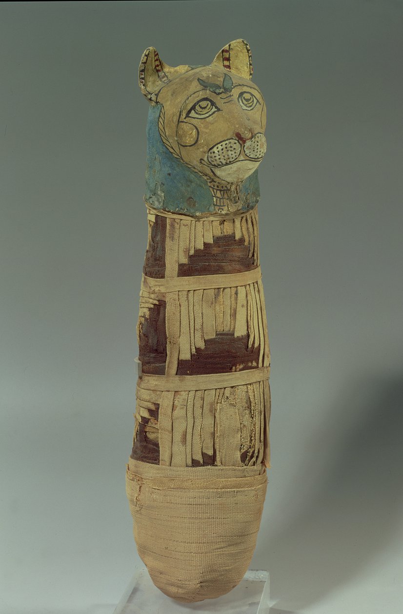 Mummified cat by Late Period Egyptian