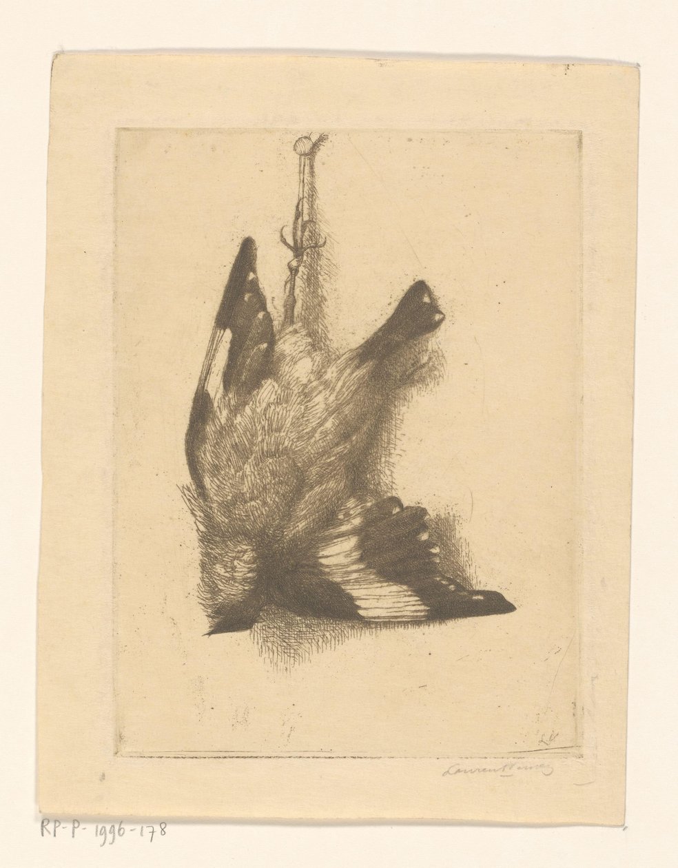 Dead Bird by Laurent Verwey van Udenhout