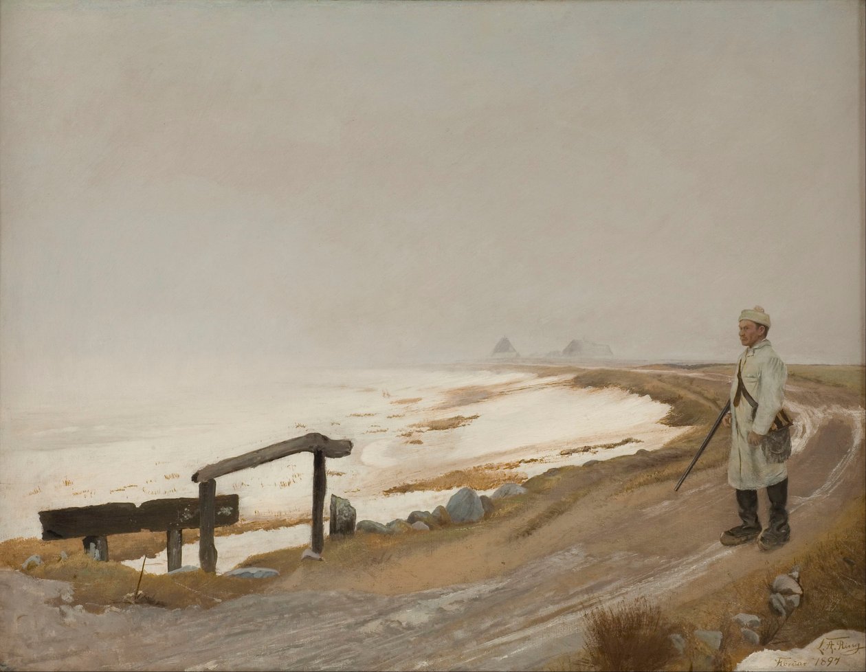 Foggy Winter