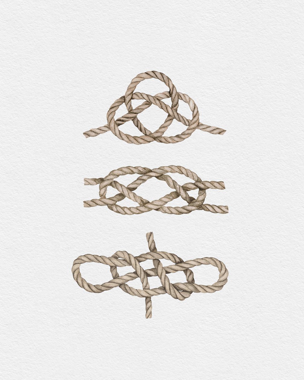 Sailor Knots by Leah Straatsma