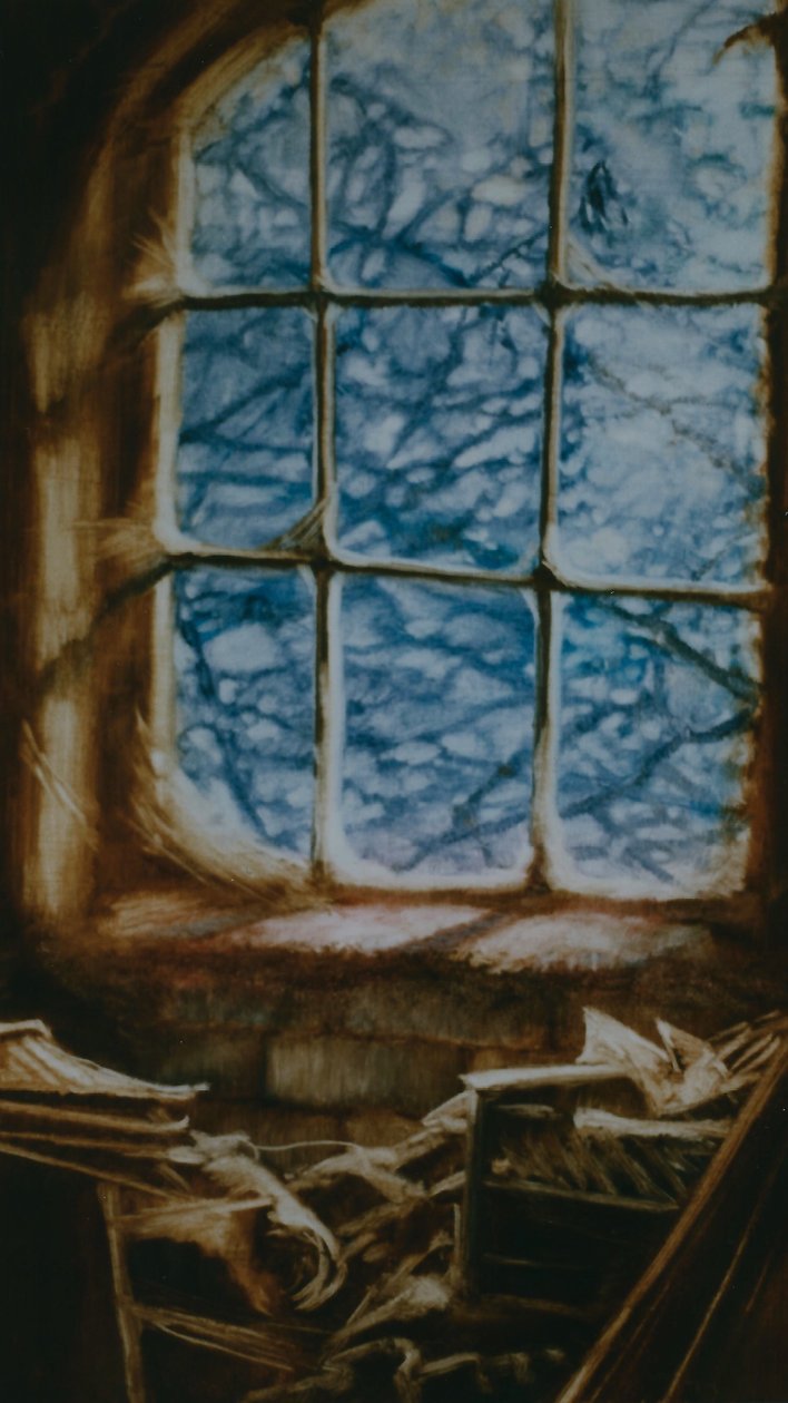 Cobwebs by Lee Campbell