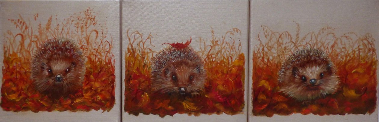 Hedgehogs in Autumn, 2024 by Lee Campbell