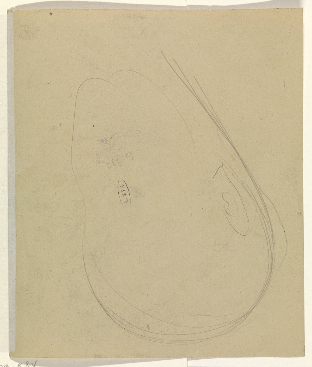 Contours of a Head by Leo Gestel