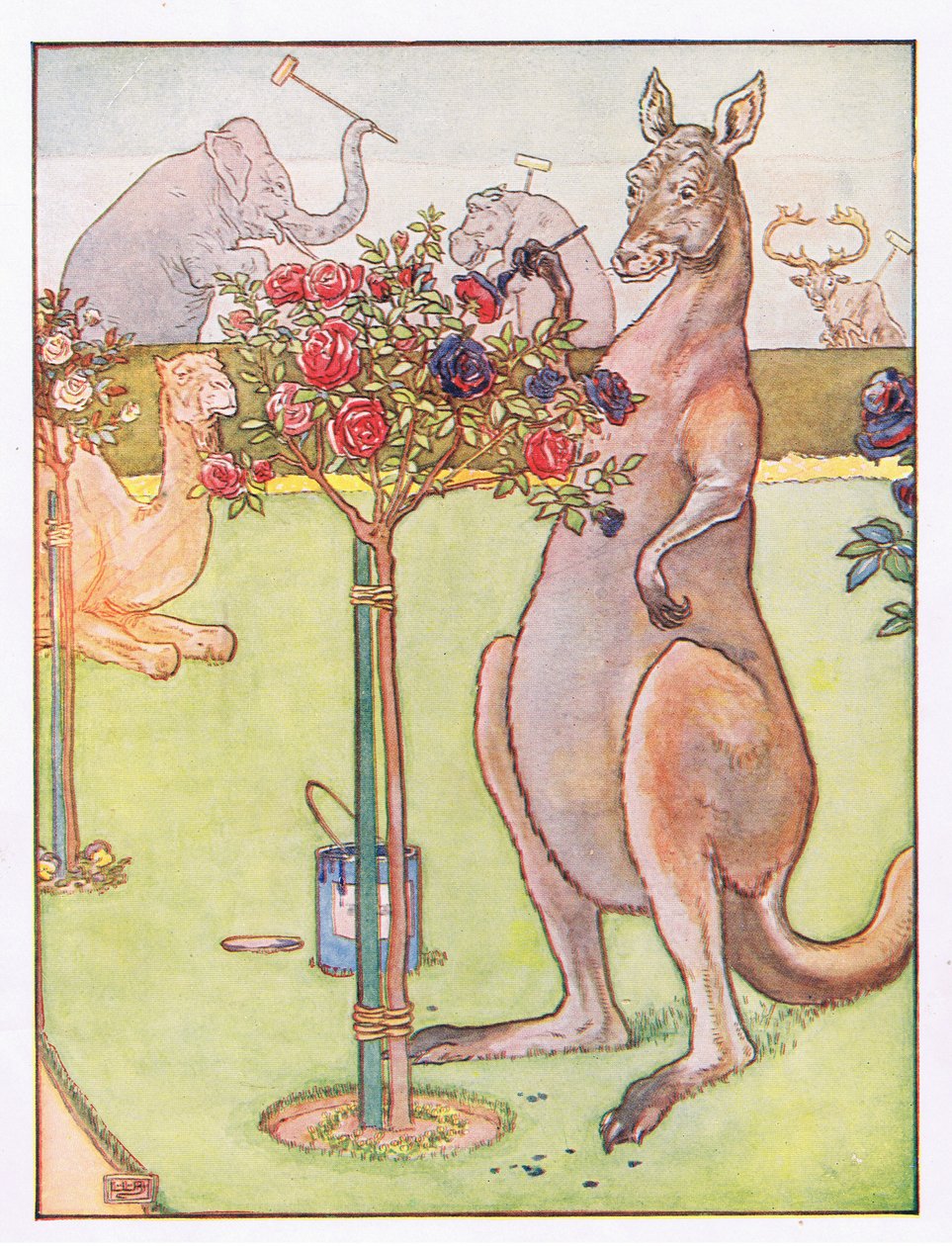 And the Kangaroo Tried to Paint the Roses Blue, Illustration from 