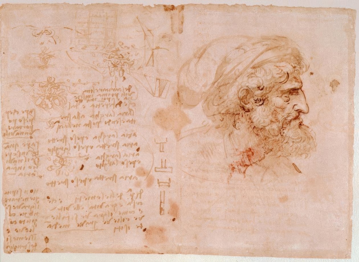 Leaf Ornament Studies / Profile Portrait of an Old Man by Leonardo da Vinci