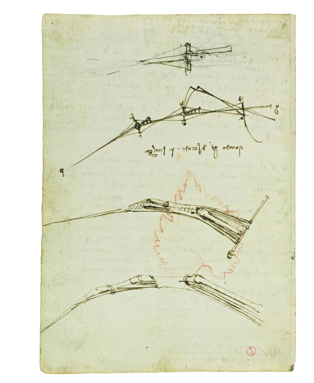 Codex on the Flight of Birds, Folio 11 Verso by Leonardo da Vinci
