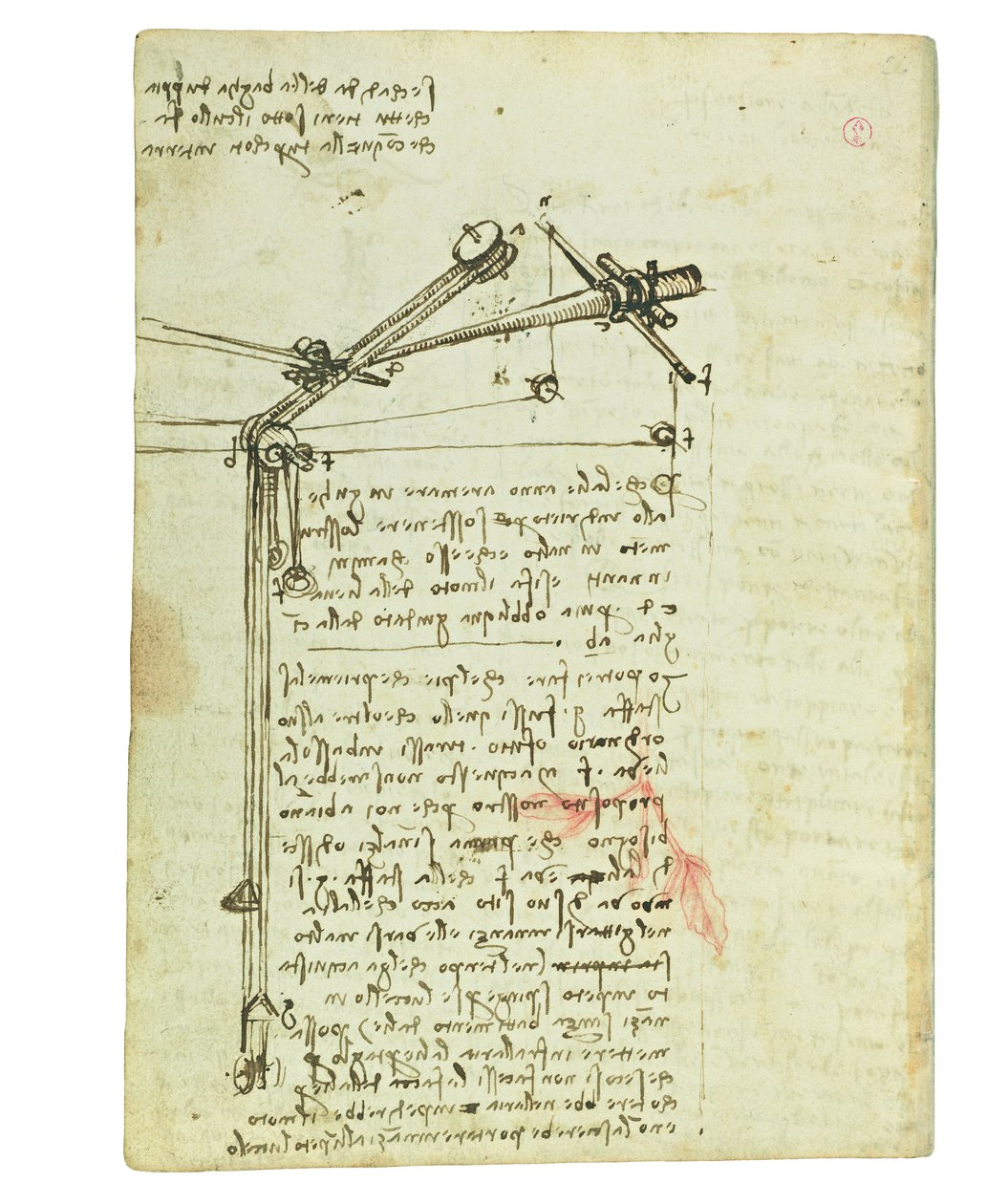 Codex on the Flight of Birds, Folio 16 Verso by Leonardo da Vinci