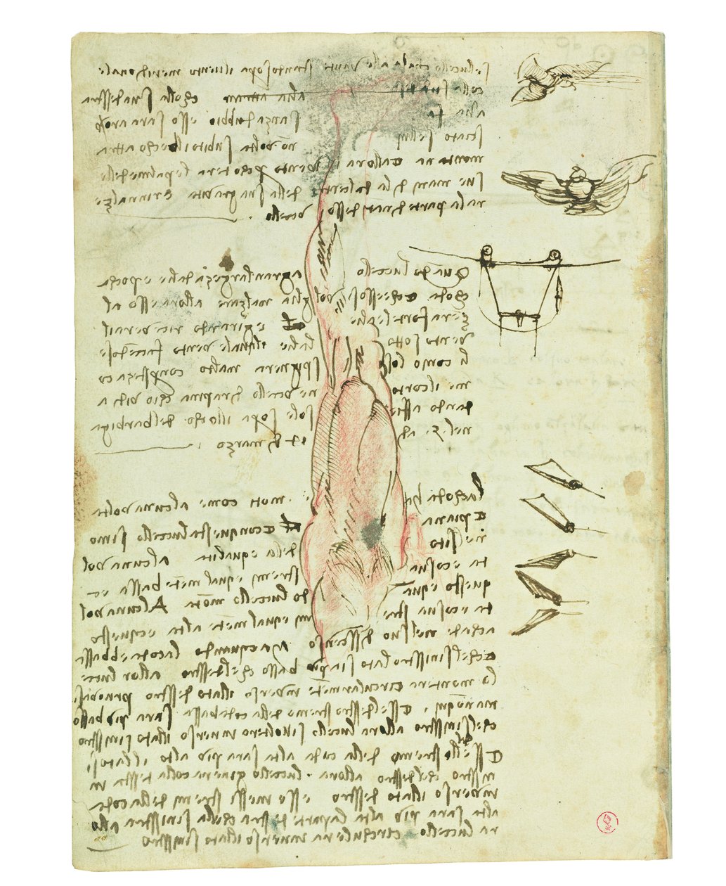 Codex on the Flight of Birds, Folio 17 Verso by Leonardo da Vinci