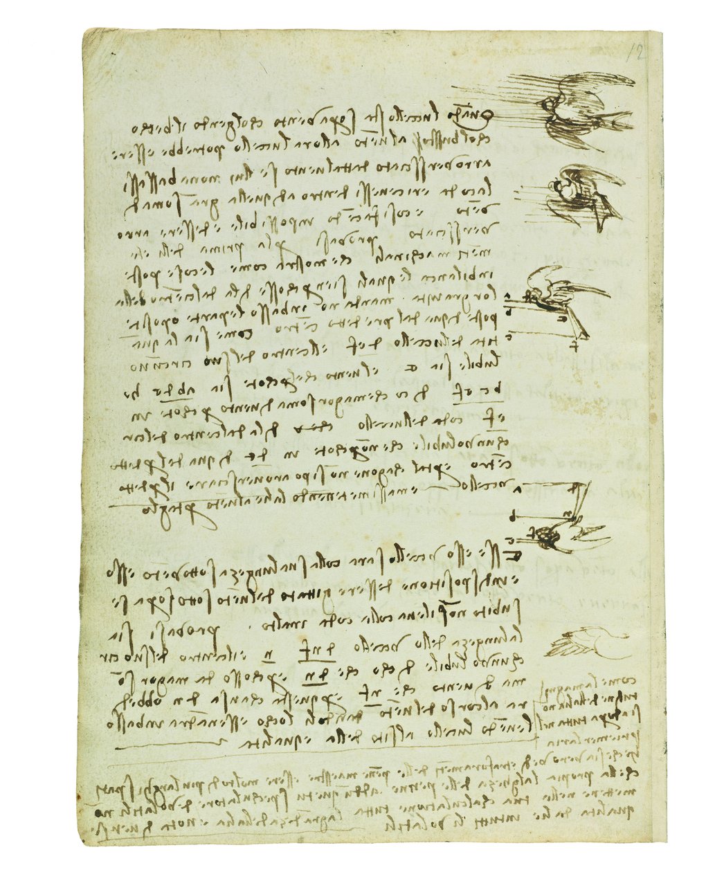 Codex on the Flight of Birds, Folio 8 Verso by Leonardo da Vinci