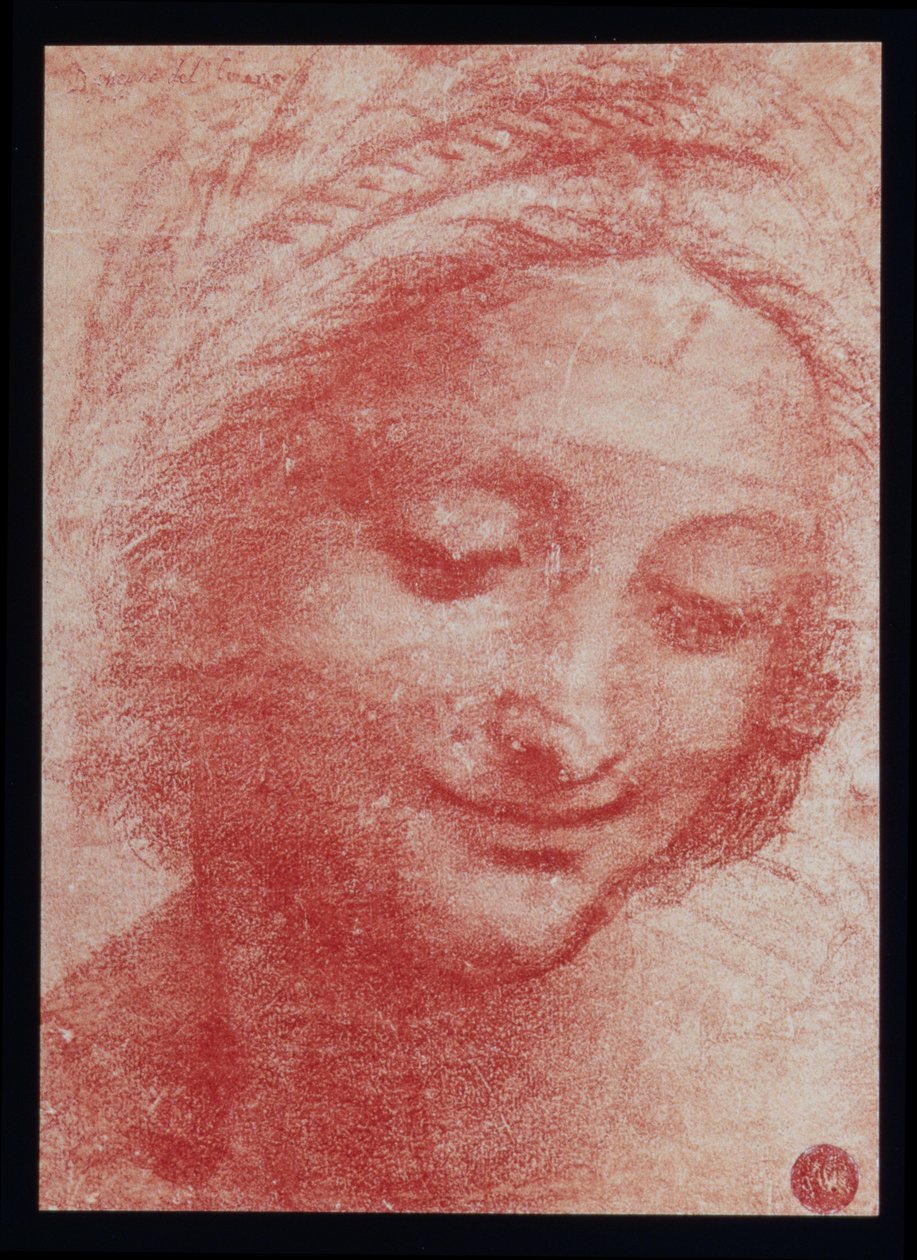 Head of a Woman by Leonardo da Vinci