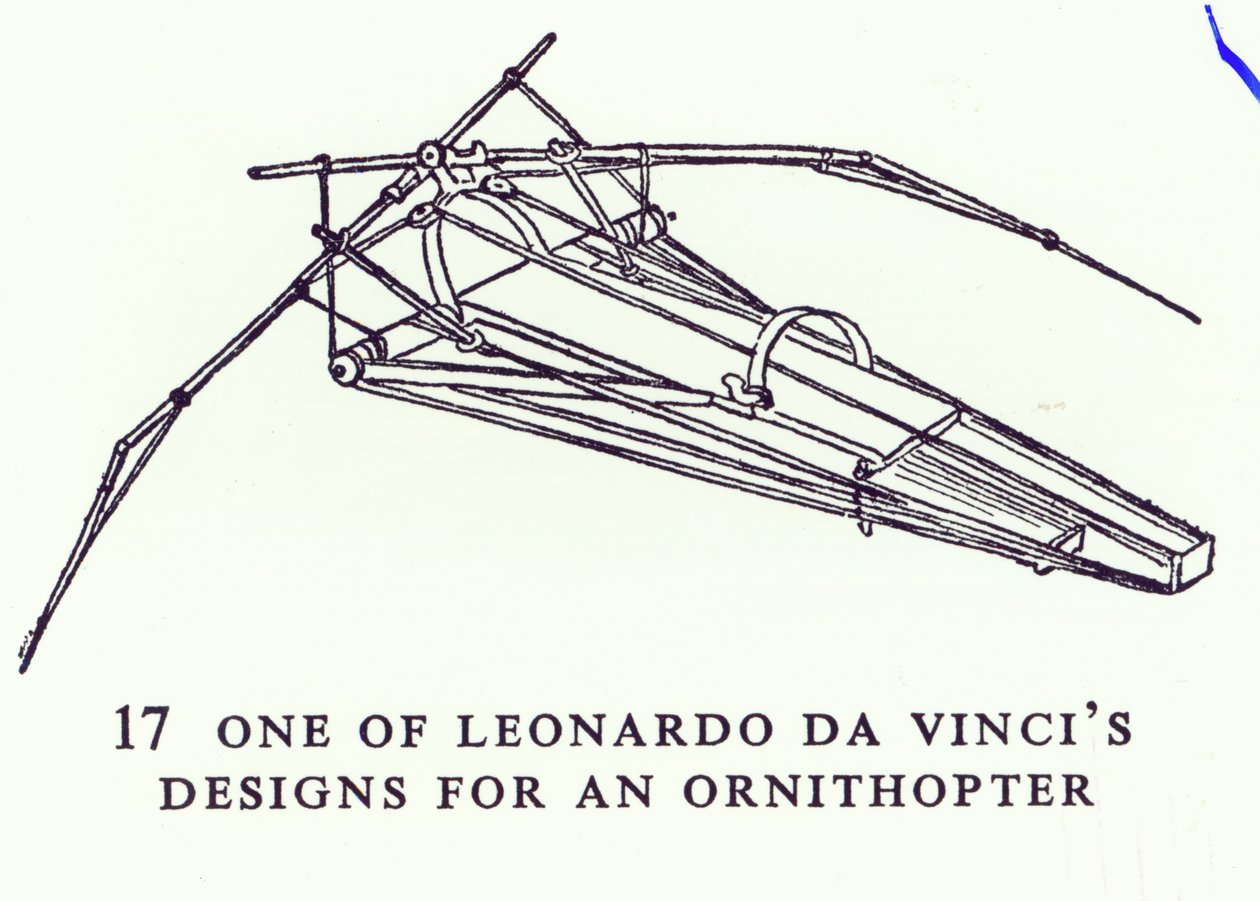 One of Leonardo da Vinci