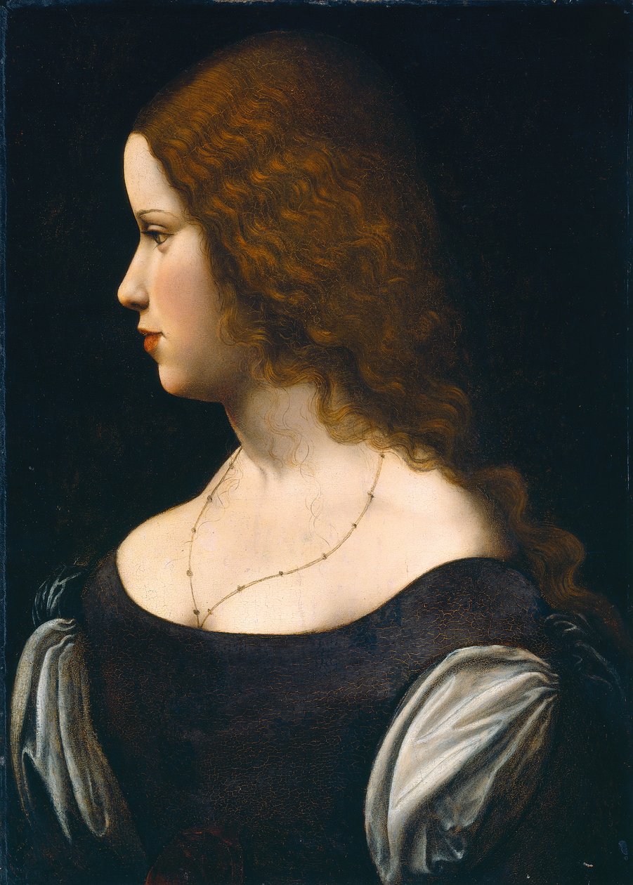 Portrait of a Young Lady by Leonardo da Vinci
