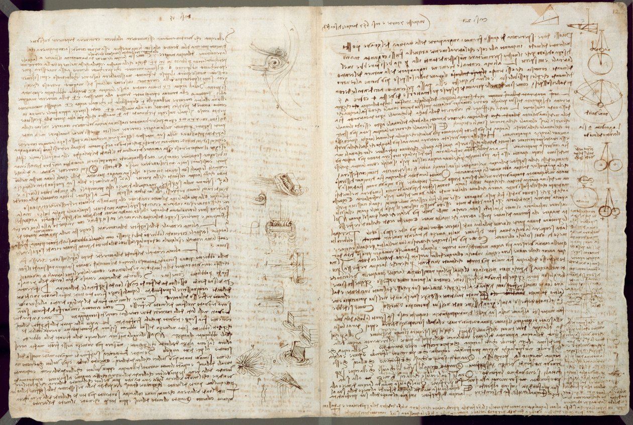 Scientific diagrams, from the Codex Leicester by Leonardo da Vinci