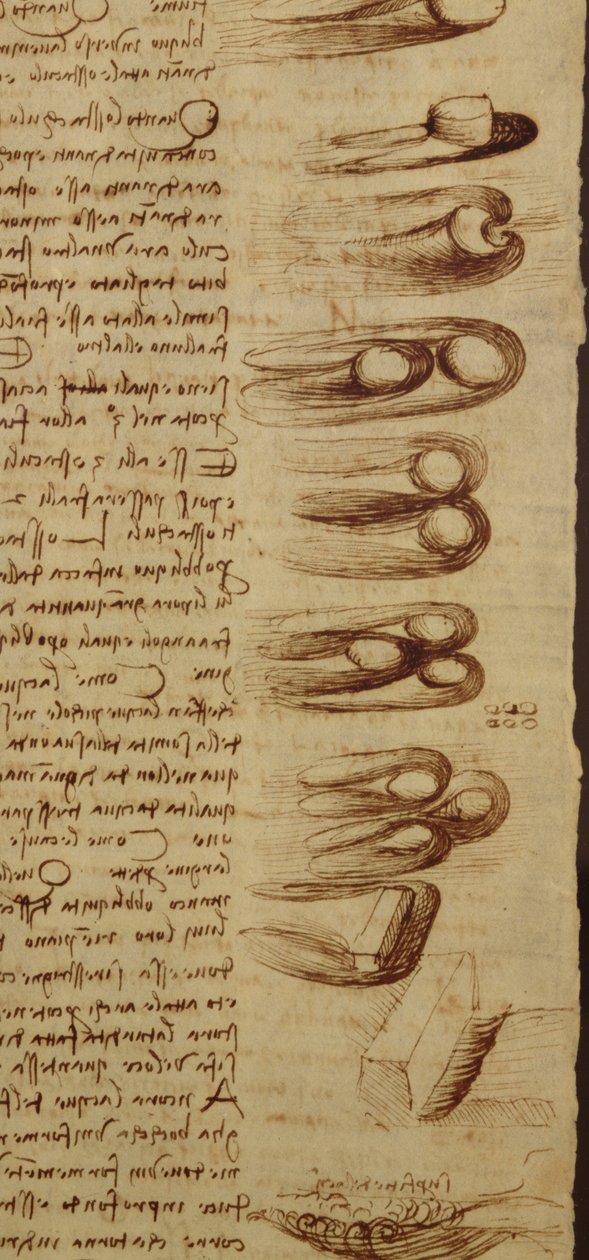 Scientific diagrams, from the Codex Leicester (detail) by Leonardo da Vinci