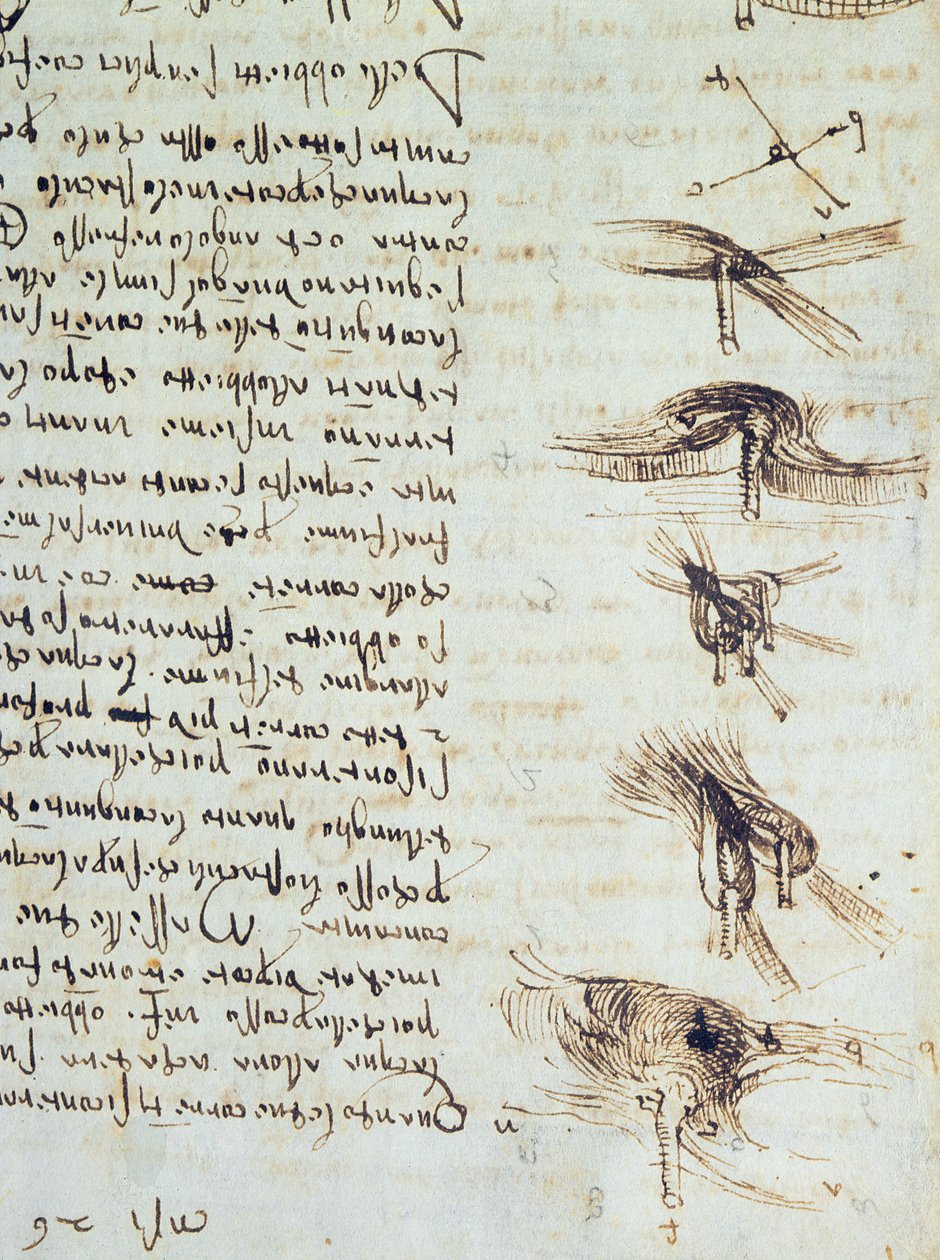 Scientific diagrams, from the Codex Leicester (detail) by Leonardo da Vinci