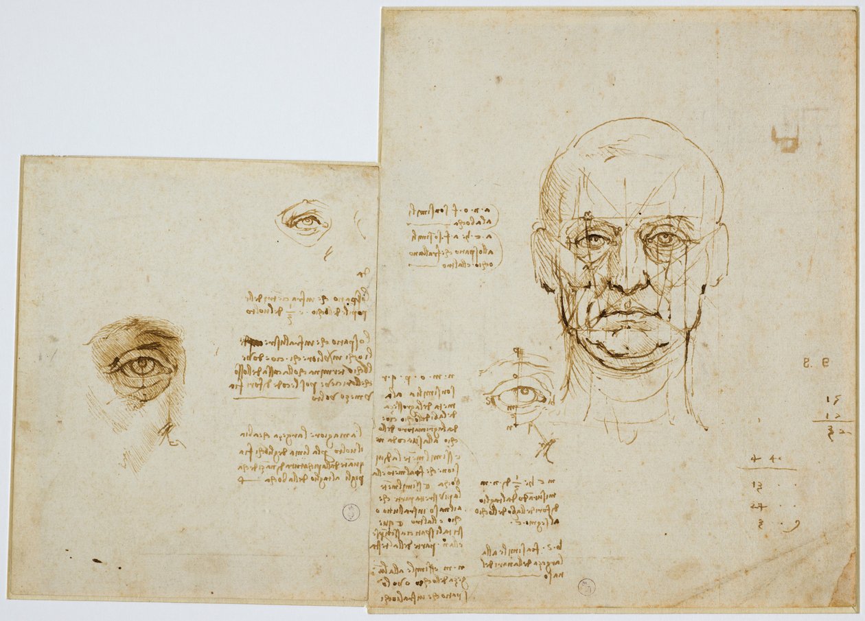 Studies of proportions of face and eye (with notes), c. 1489-90 by Leonardo da Vinci