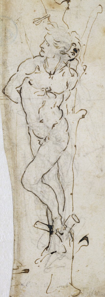 Study of St. Sebastian by Leonardo da Vinci