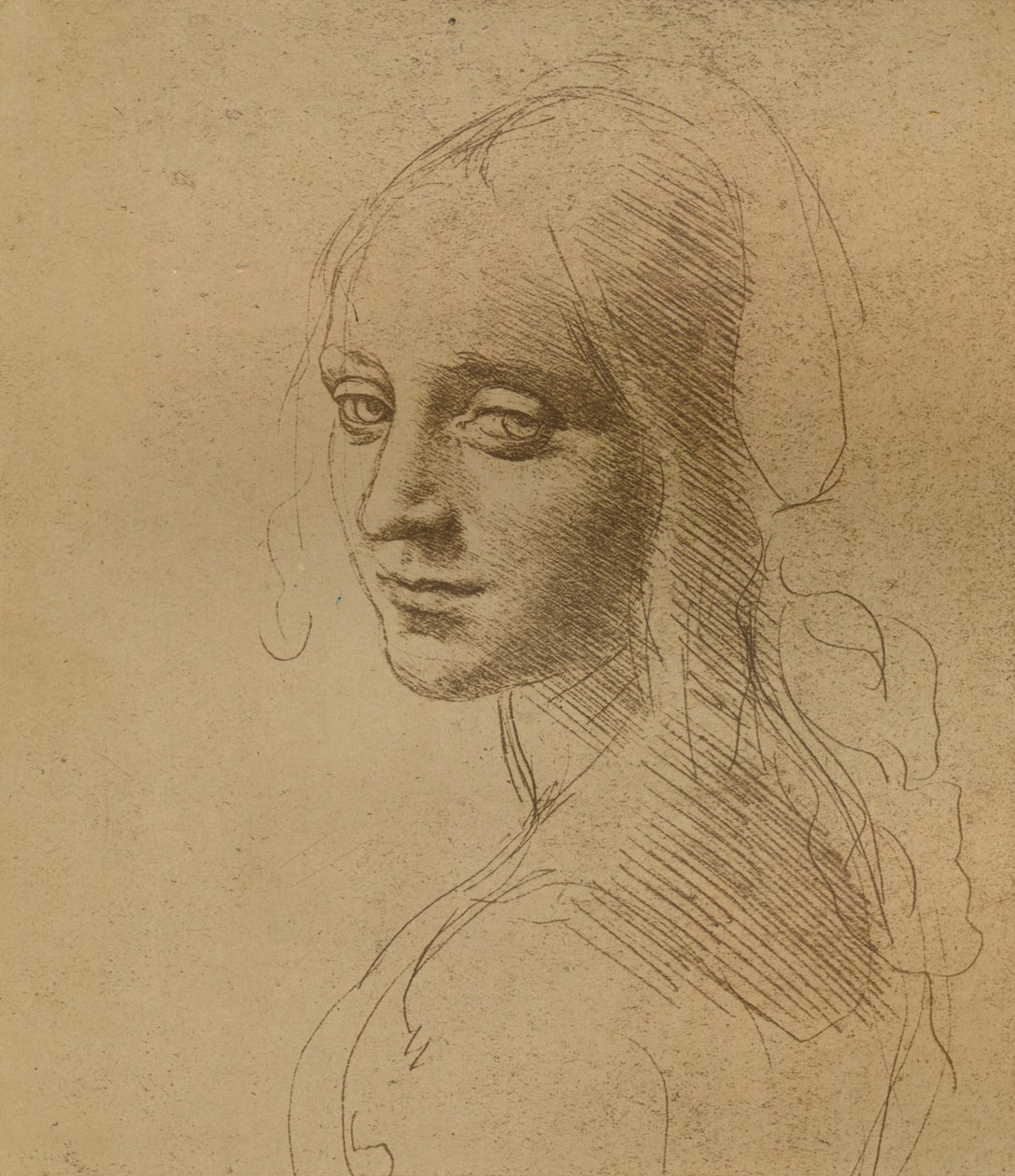 A female head, c1472-c1519 by Leonardo da Vinci