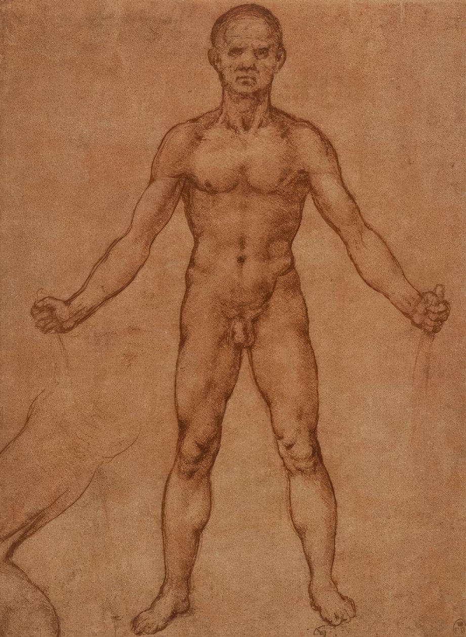 Study of a Standing Nude Man, Frontal by Leonardo da Vinci
