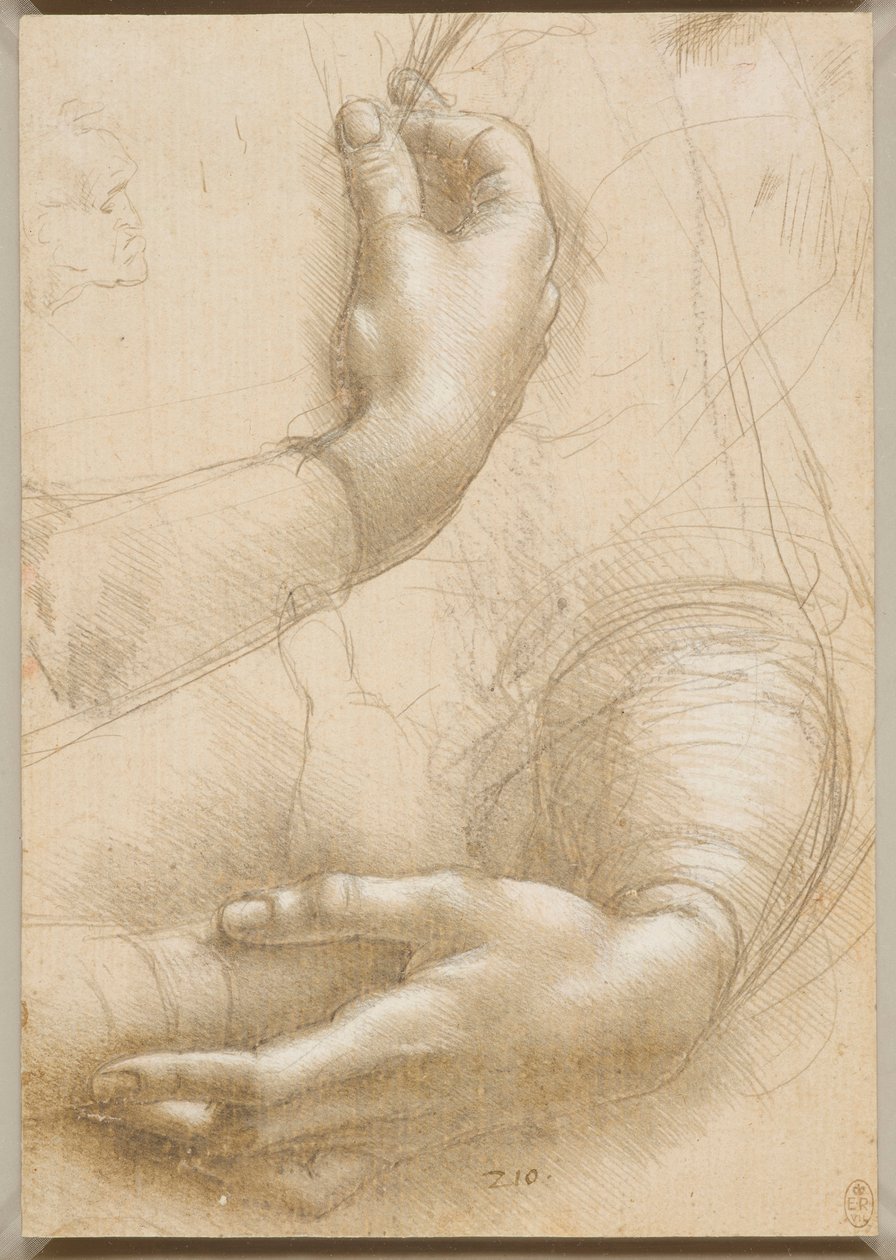 Arms and Female Hands by Leonardo da Vinci