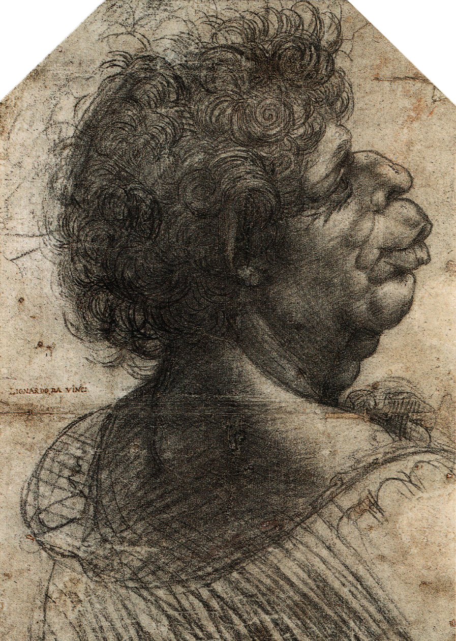 Grotesque Head by Leonardo da Vinci