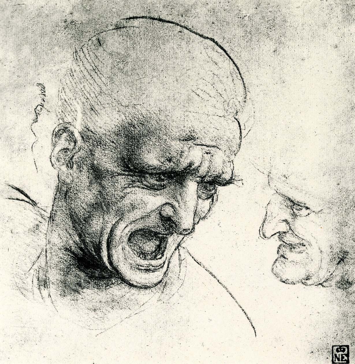 Head Studies by Leonardo da Vinci