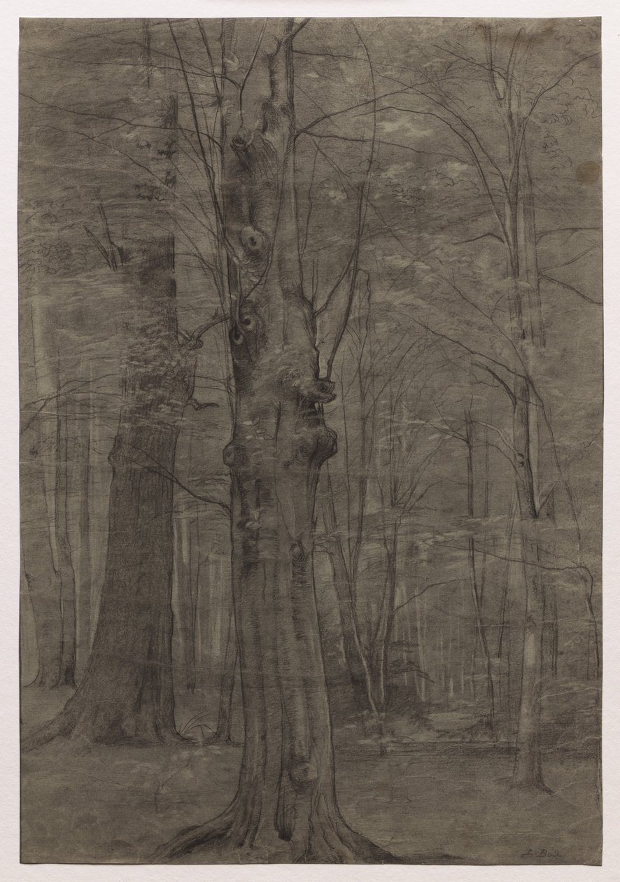 Trees by Leopold Bode