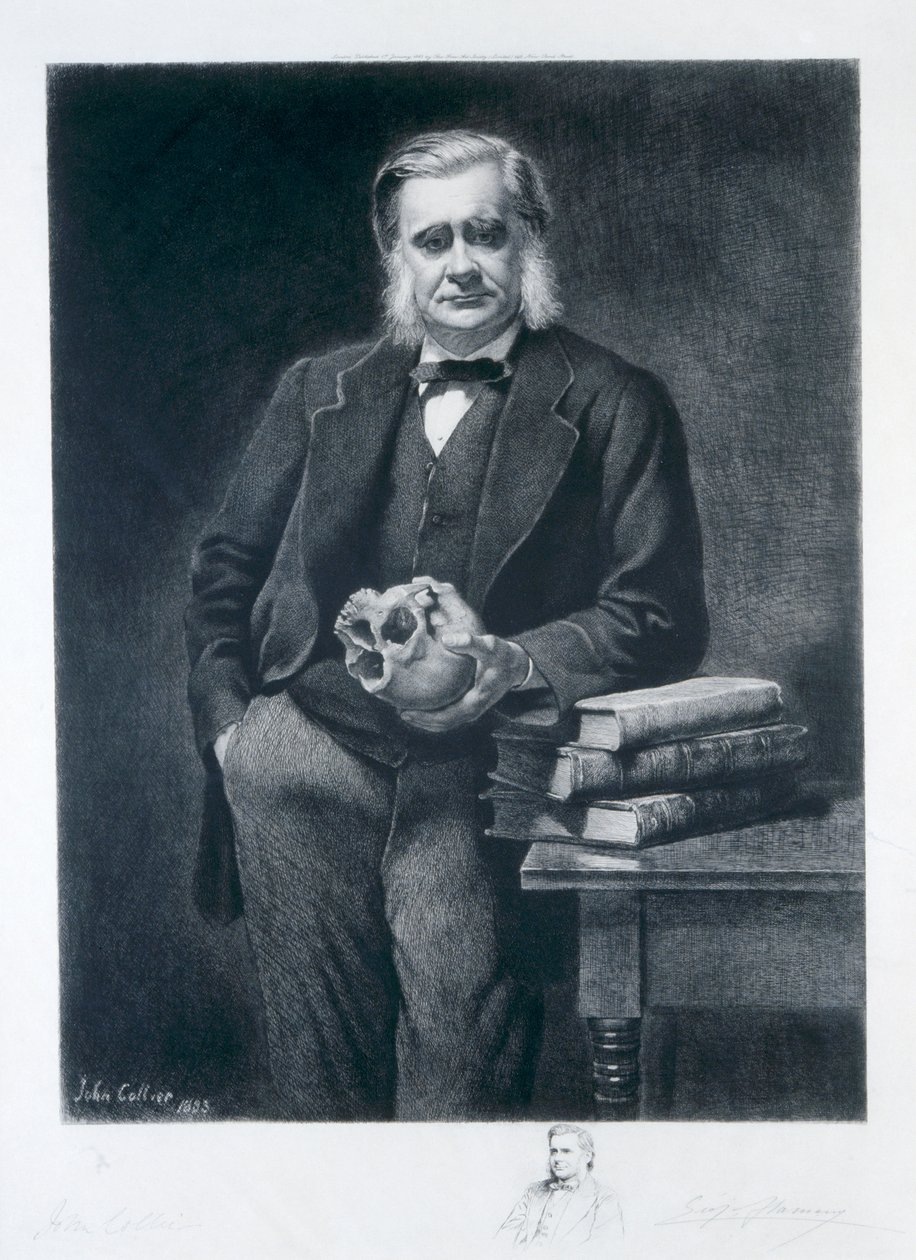 Thomas Henry Huxley by Leopold Flameng