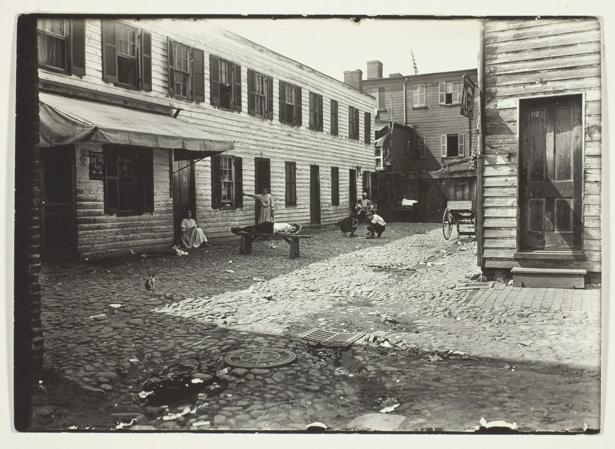 Negro Alley Housing Whites, Washington, D.C. by Lewis Wickes Hine
