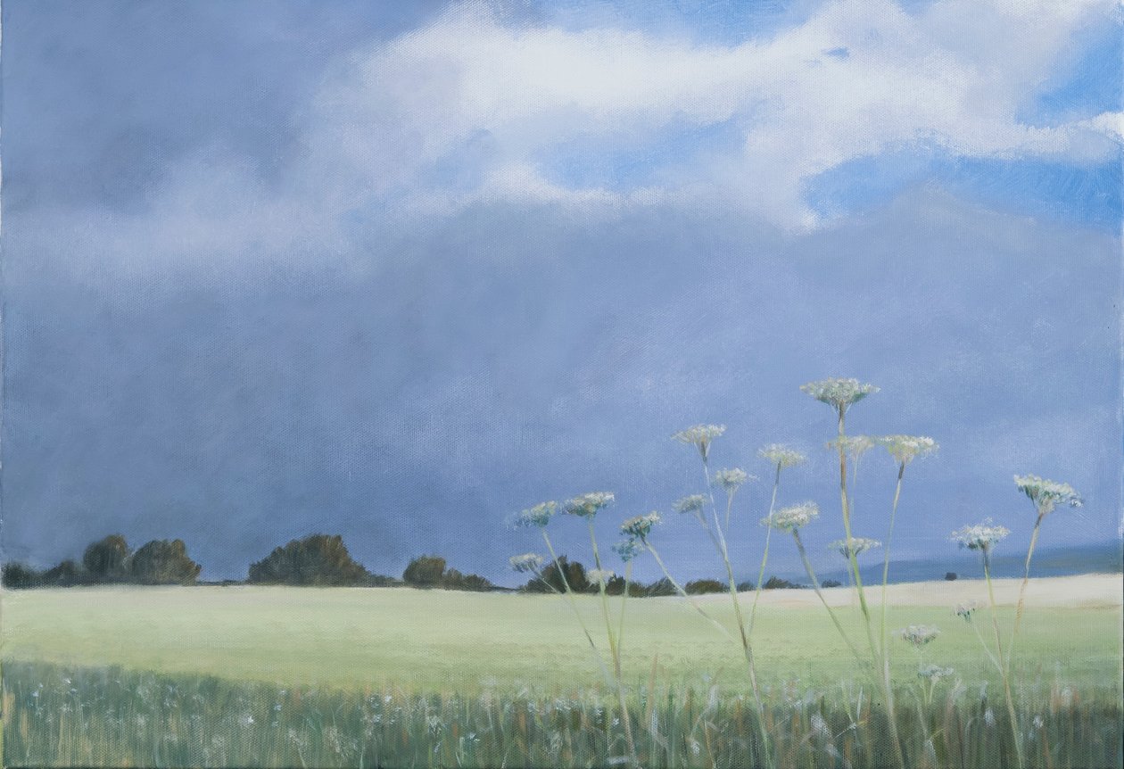 Cow Parsley by Lincoln Seligman