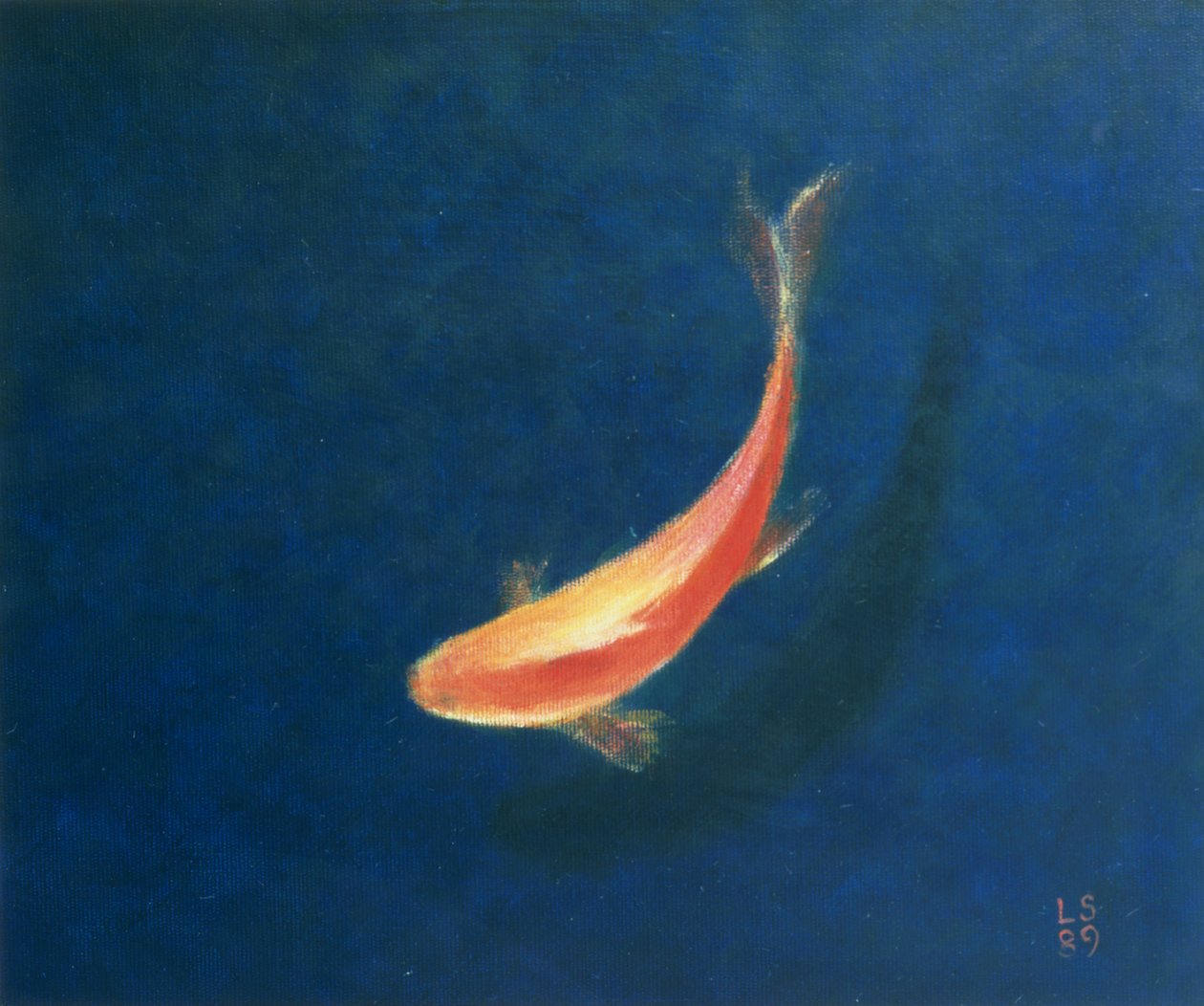 Goldfish by Lincoln Seligman
