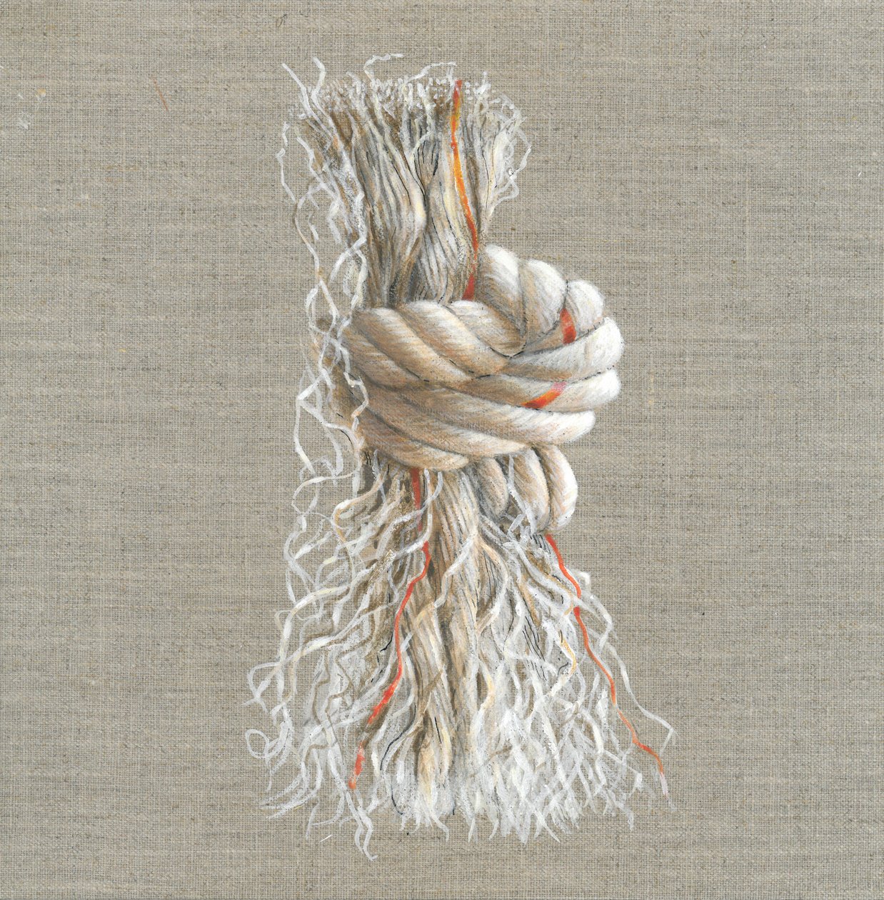 Rope Knot by Lincoln Seligman