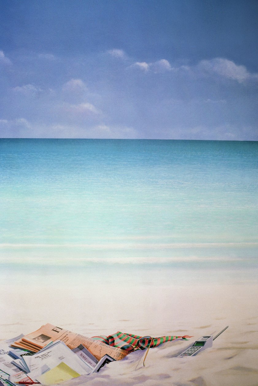 Sun, Sand and Money I by Lincoln Seligman