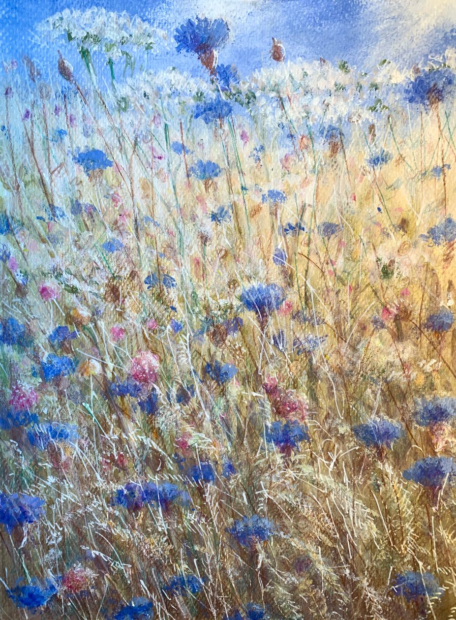 Cornflowers 2 by Lincoln Seligman