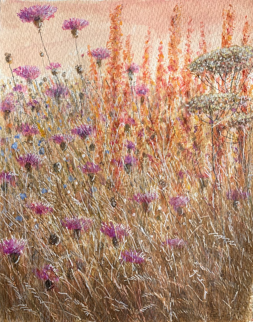 Scabious & Docks by Lincoln Seligman