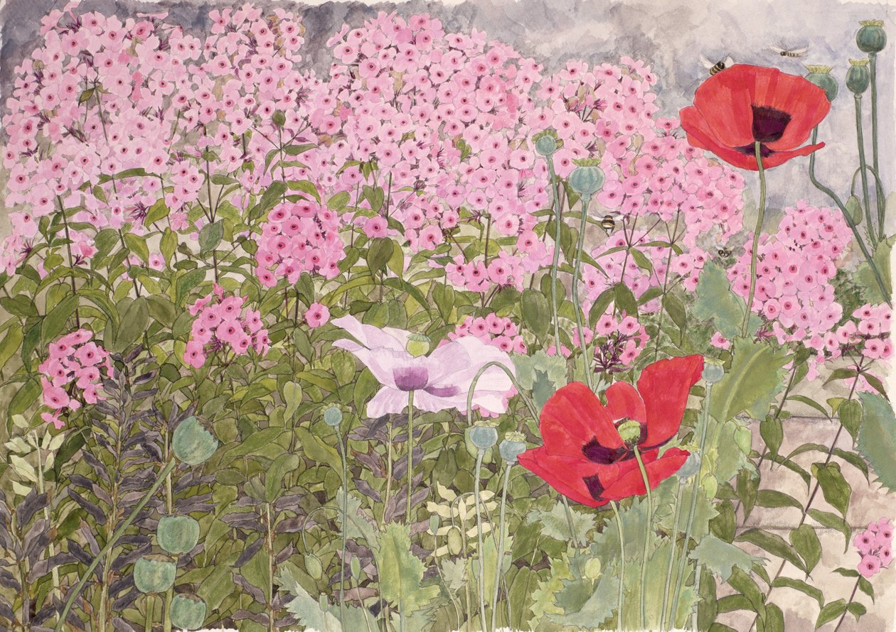 Poppies and Phlox by Linda Benton